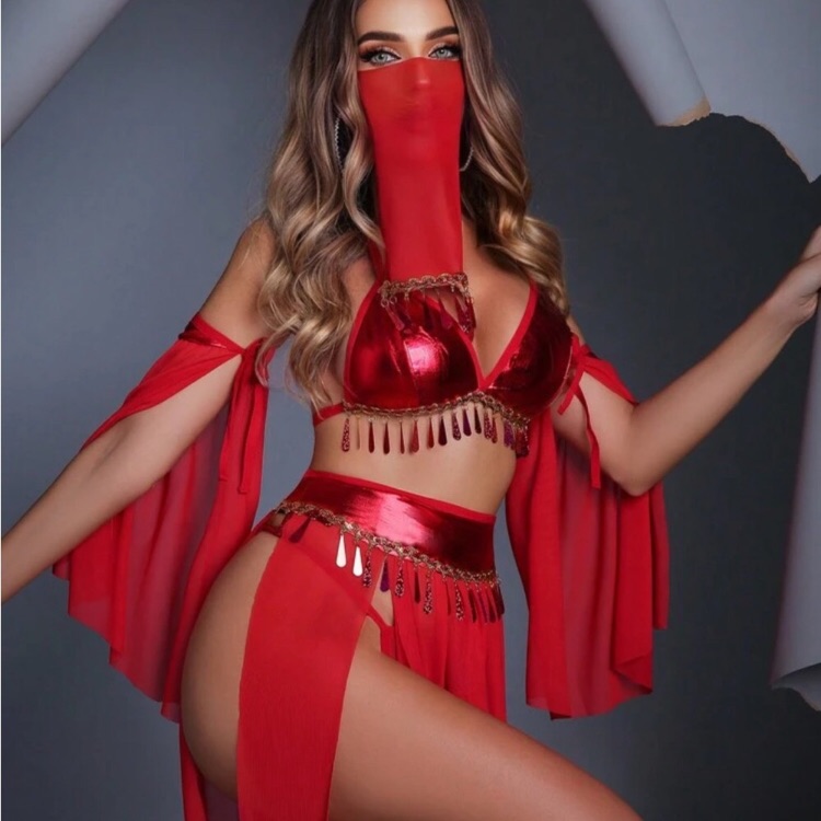 Halloween Fantasy Costume Womens Sexy Genie Costume Pendant
